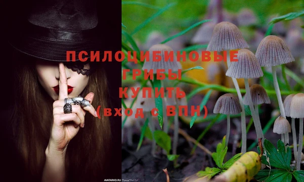 ГАЛЛЮЦИНОГЕННЫЕ ГРИБЫ Алексеевка