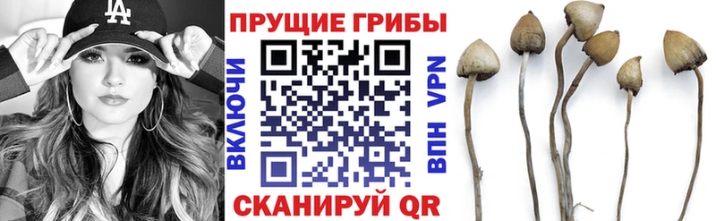 OMG зеркало  Еманжелинск  Псилоцибиновые грибы MAGIC MUSHROOMS 