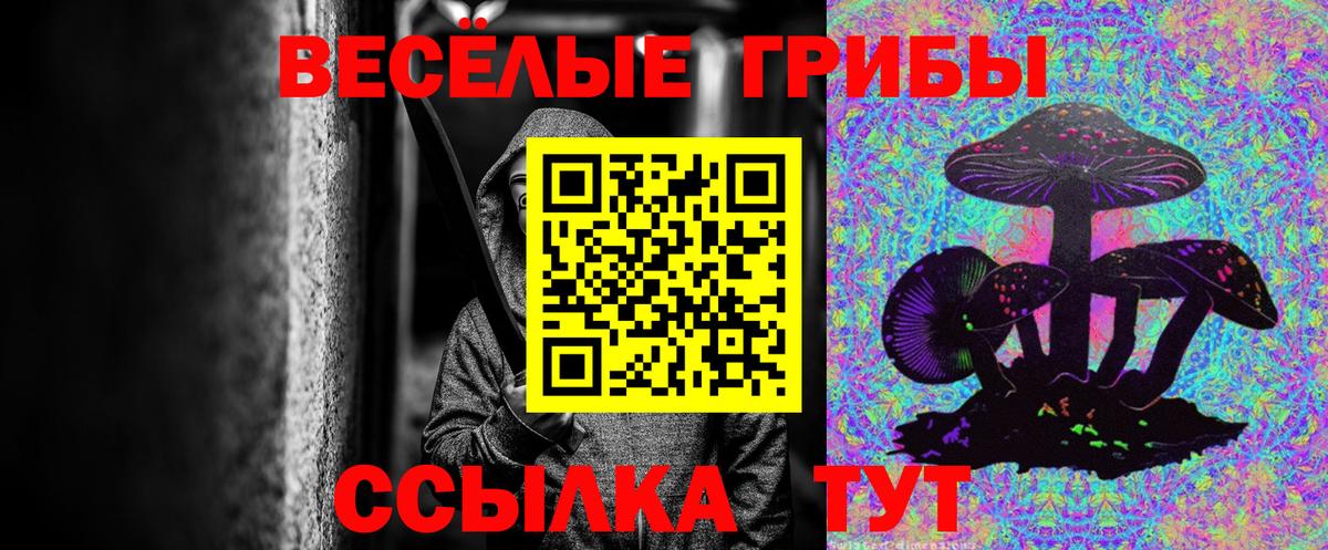Еманжелинск  Псилоцибиновые грибы Psilocybine cubensis  Вход с VPN 